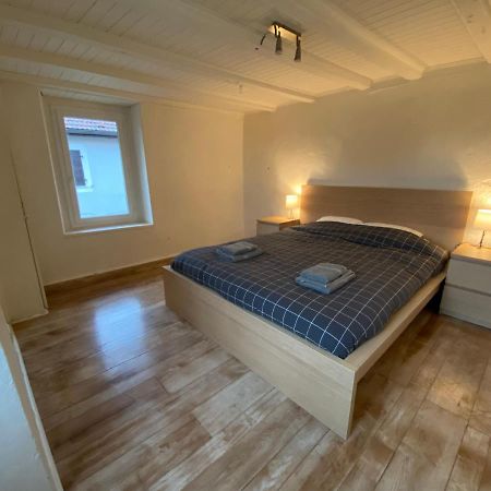 Maison T3 Cosy A 2 Minutes De Geneve Collonges-sous-Saleve Luaran gambar